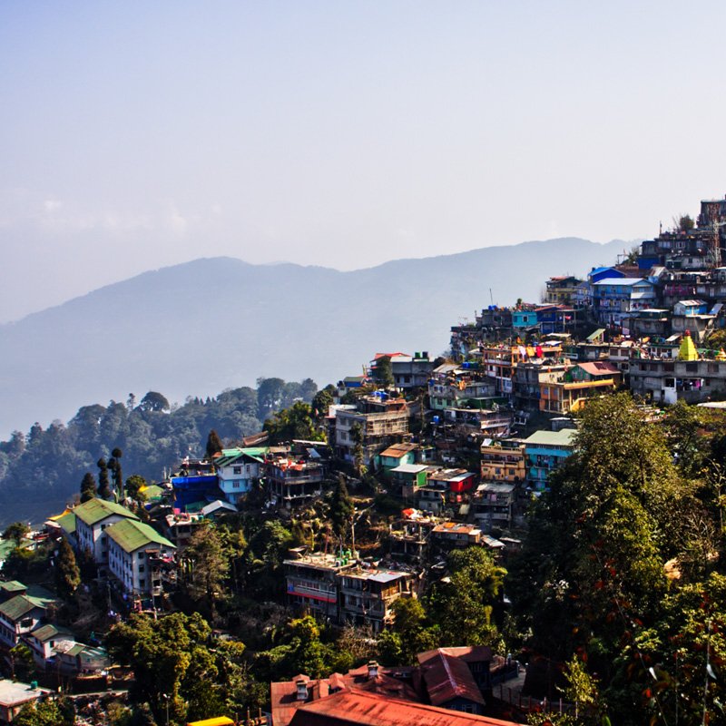 darjeeling01