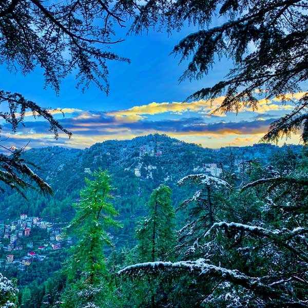 shimla